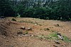 28-05-98 - Massa Maritima - site etrusque - tombes du VII.jpg